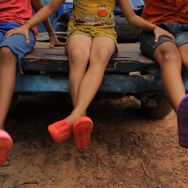 Talking to the Trees