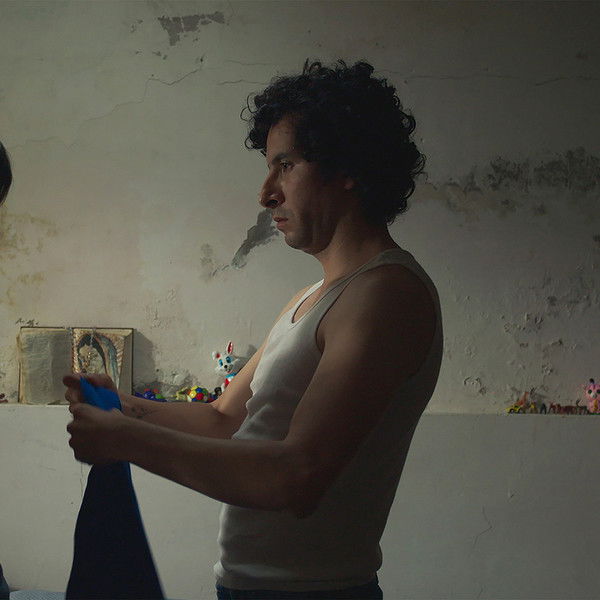 Mi mamá se fue con las vacas