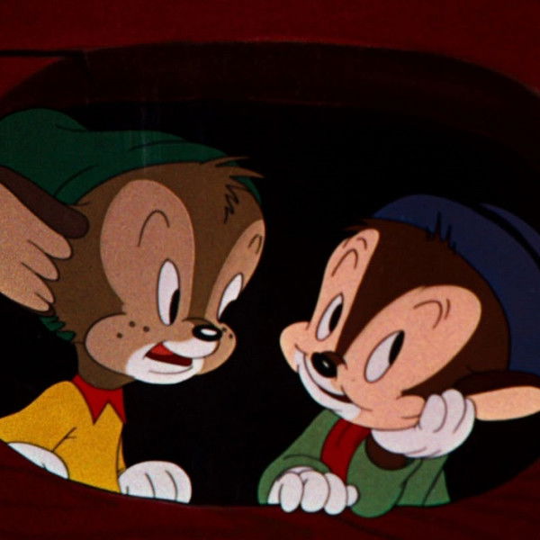 The Brave Little Bat