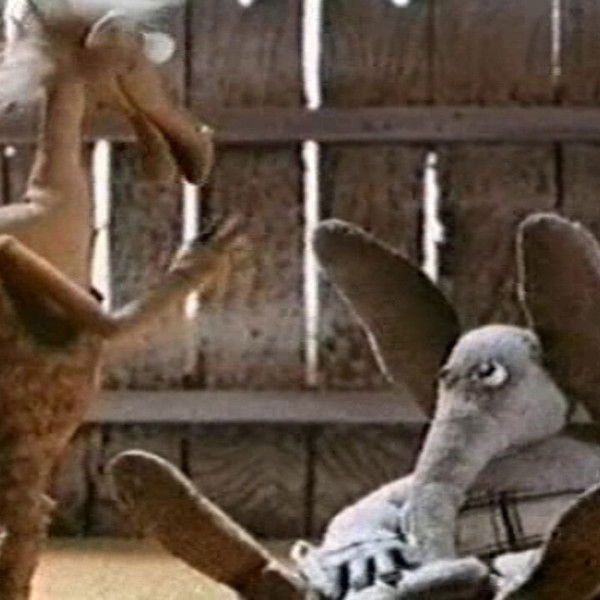 Two Camels Were Flying