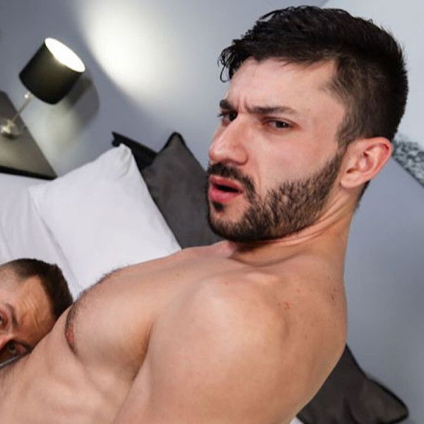 Pigs in the Playroom