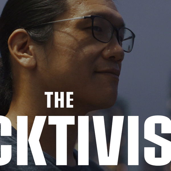 The Hacktivist