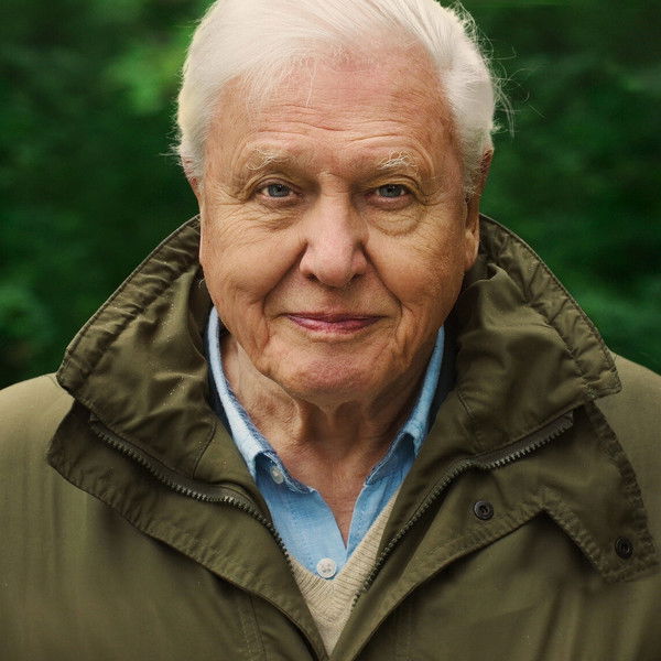 David Attenborough: A Life on Our Planet