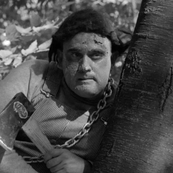 The Monster of Camp Sunshine or How I Learned to Stop Worrying and Love Nature