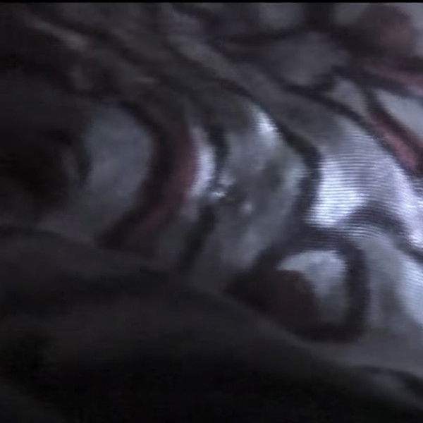 Venice 70: Future Reloaded