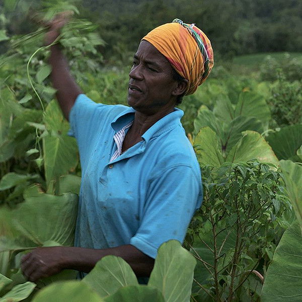 You Think the Earth Is a Dead Thing