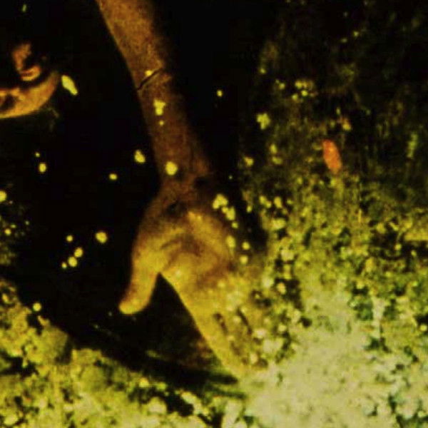 To Lavoisier, Who Died in the Reign of Terror