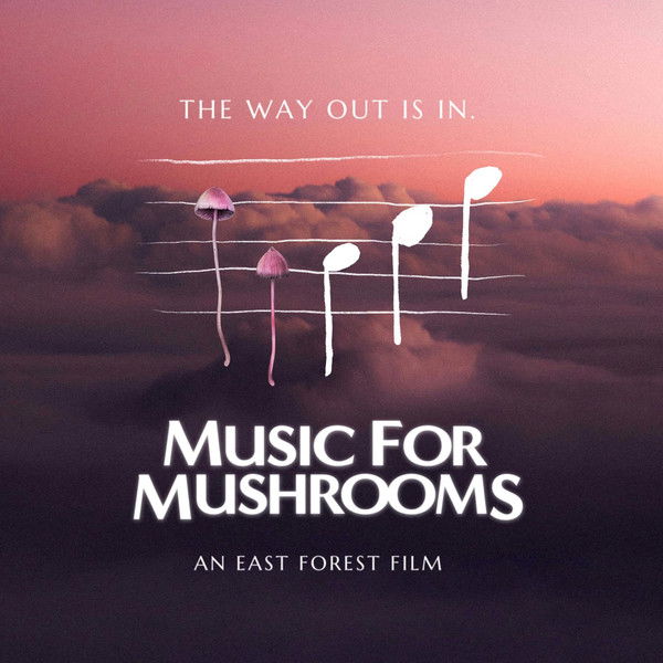 Music for Mushrooms