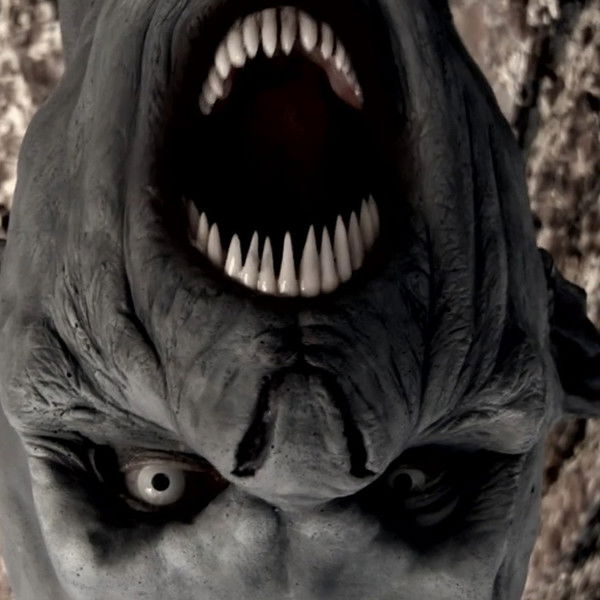 The Black Water Vampire