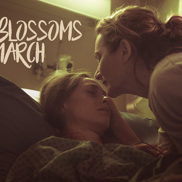 Cherry Blossoms in March