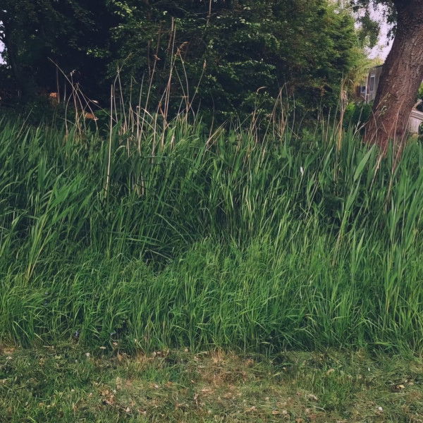 een kleine film over toxic comic nerds