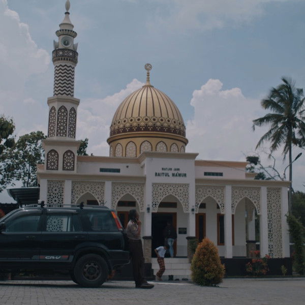 A Cat Can Look at a King