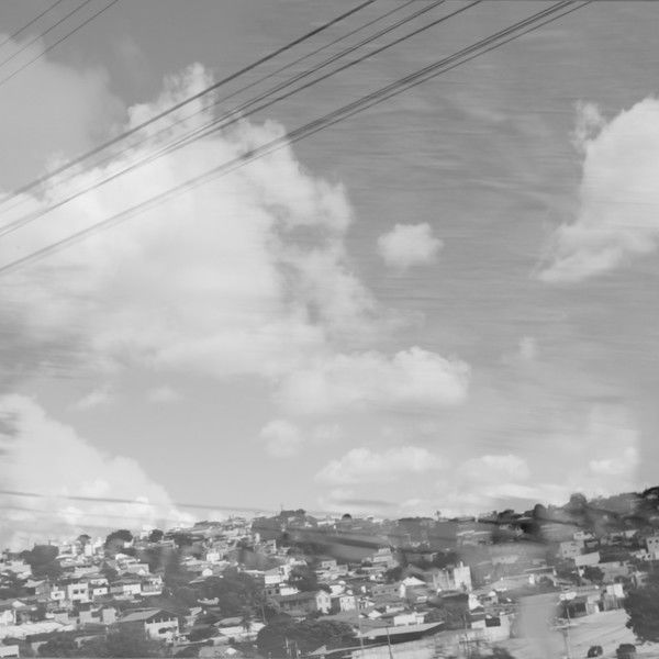 Pages of comtempt of the emperor and the birds that abandon antennas