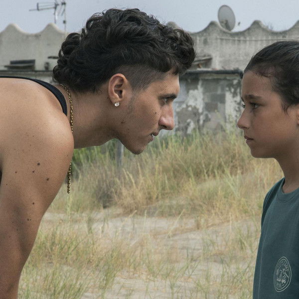 My Summer with the Shark