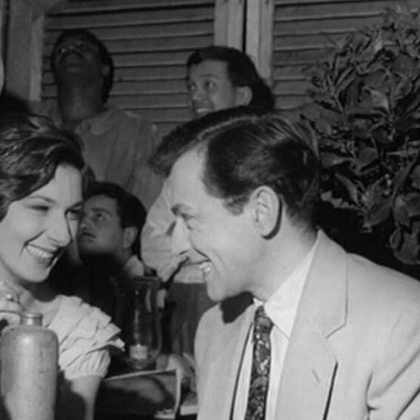 The Fox and the Forest