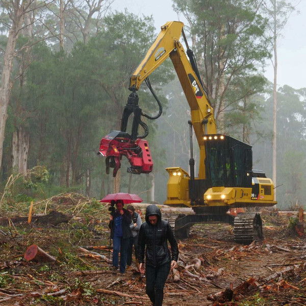 Cry of the Forests - A Western Australian Story