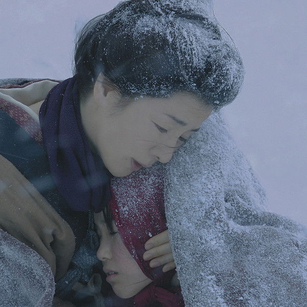 Year One in the North