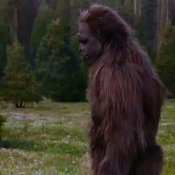 Bigfoot: The Unforgettable Encounter