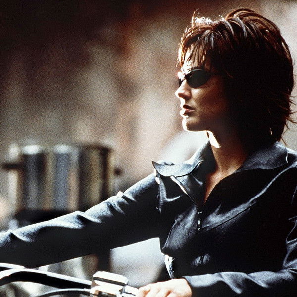 Chameleon 3: Dark Angel