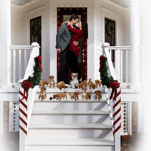 12 Pups of Christmas