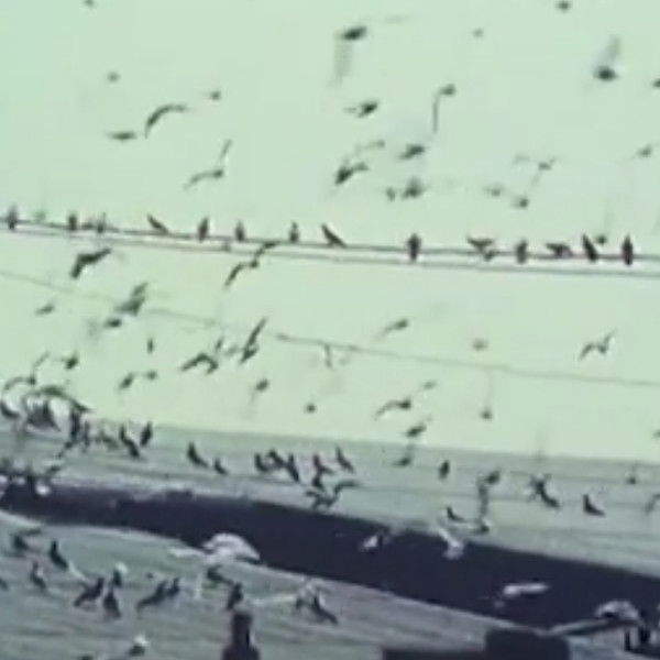 No Names on the Doors