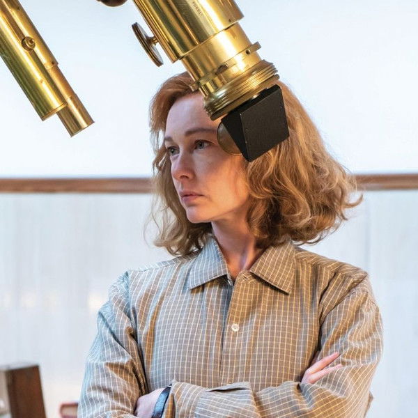 Margherita delle stelle