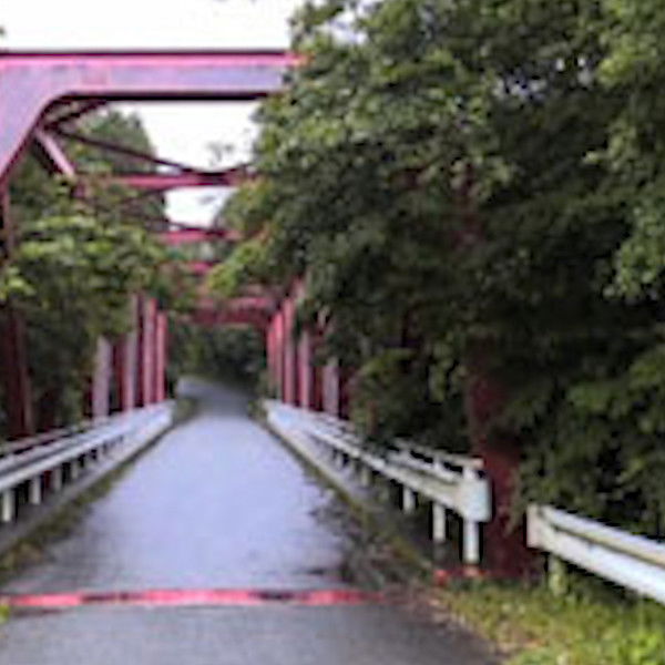 Cursed Psychic Video XXX 14