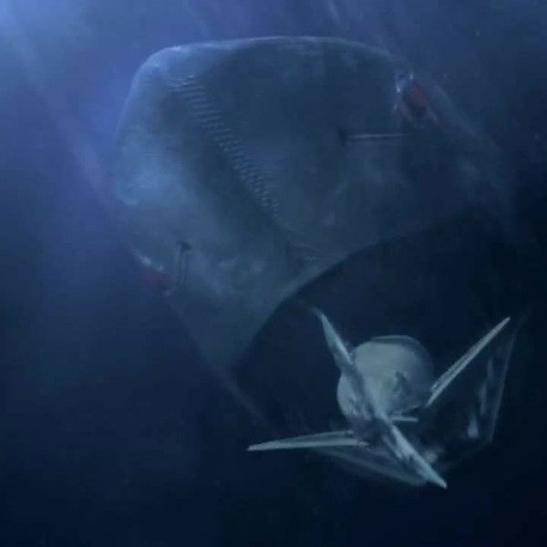 Mega Shark vs. Mecha Shark