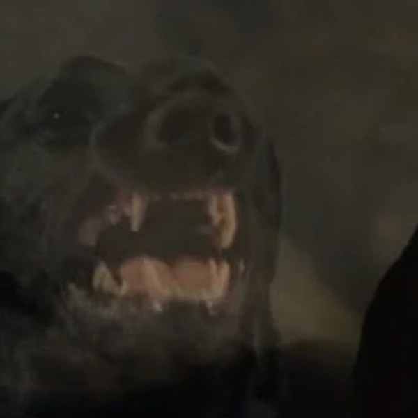 Goosebumps: The Barking Ghost