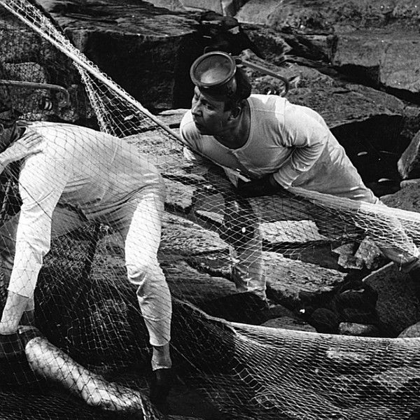 Pekka ja Pätkä sammakkomiehinä