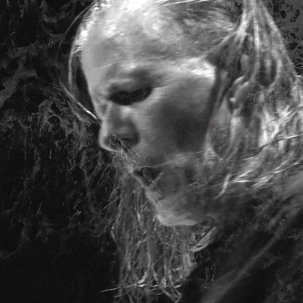 Swans: Where Does a Body End?