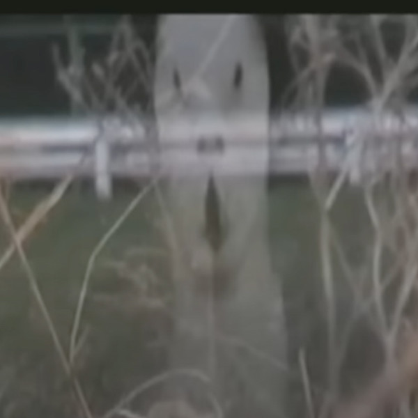 Cursed Psychic Video XXX 7