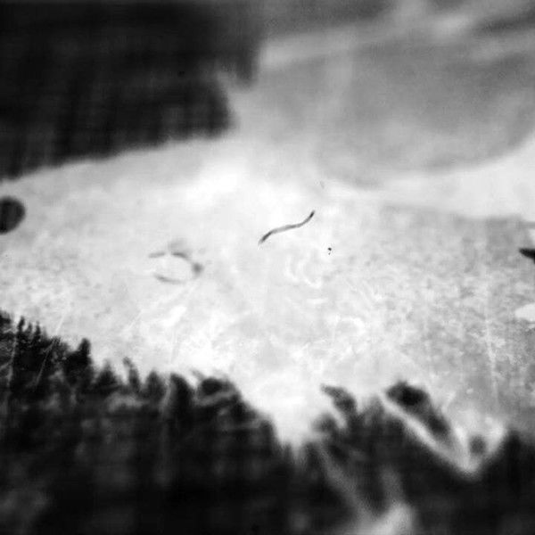 Ted Hughes: Stronger Than Death