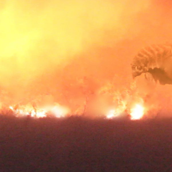 The Barbados Project