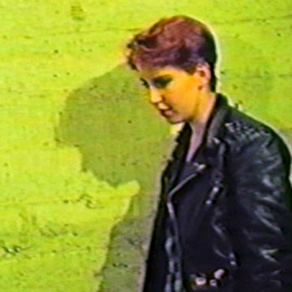 Blood Orgy of the Leather Girls