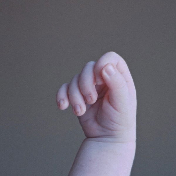 A stranger in the world