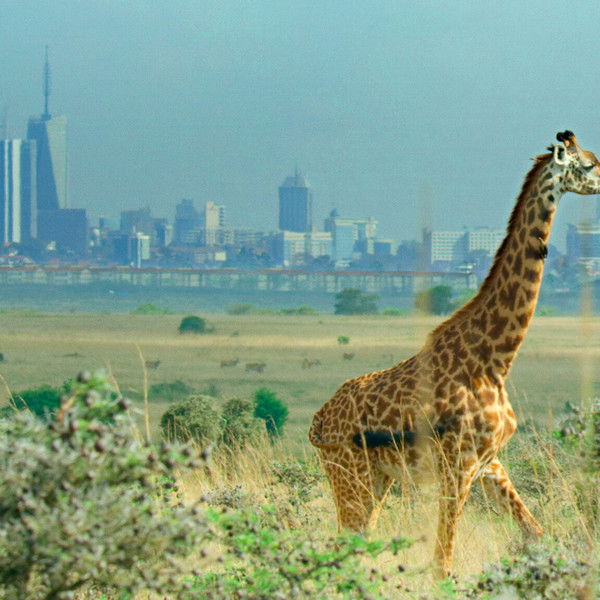 Breaking Boundaries: The Science of Our Planet