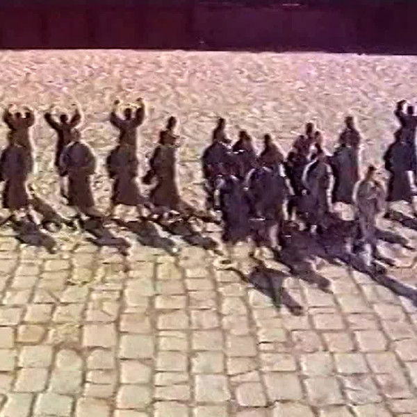 Thou Shall Not Kill... But Once