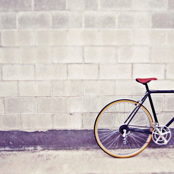 fixie