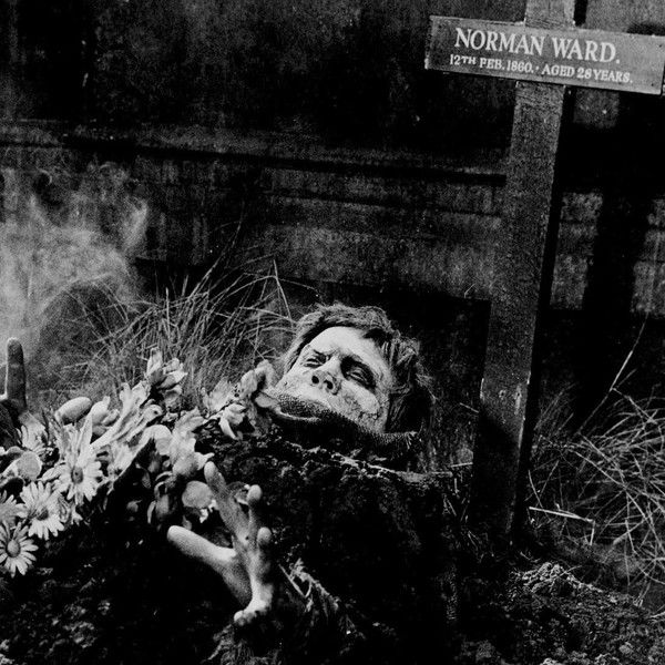 The Plague of the Zombies