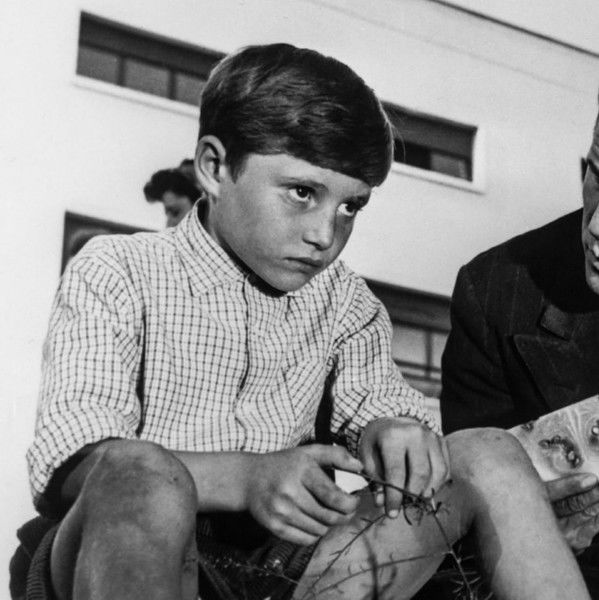 The Window to Luna Park