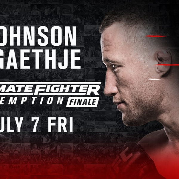 The Ultimate Fighter 25 Finale