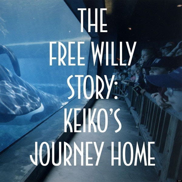 The Free Willy Story - Keiko's Journey Home