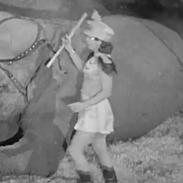 Here Comes the Circus