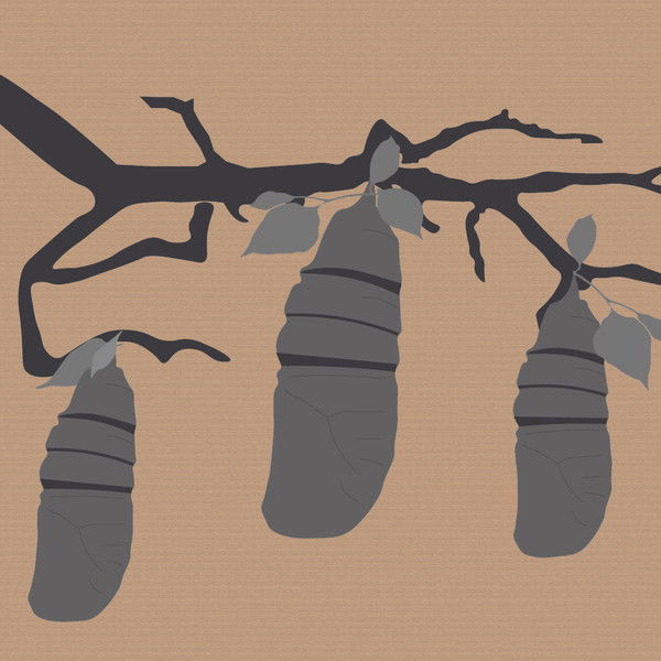 Reel #1: Surfing with Butterflies