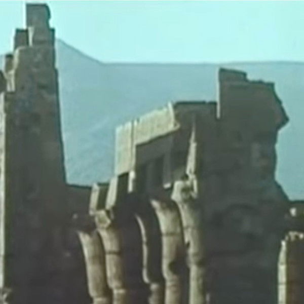 In This Atrocious Garden