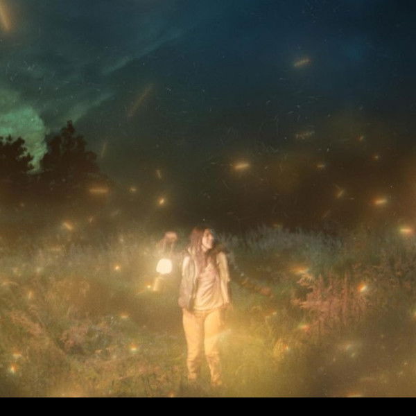 The Girl, The Hunter, & The Firefly