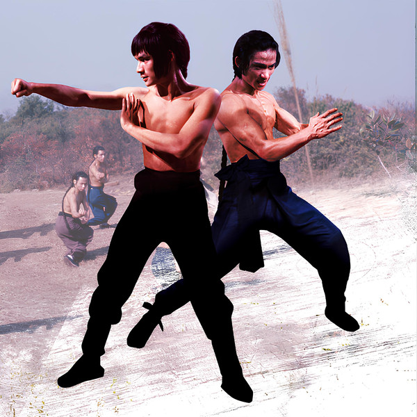 Shaolin Martial Arts