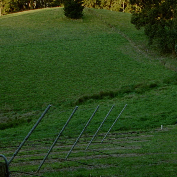 Does It Come With a Warranty?