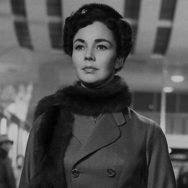 Indiscretion of an American Wife